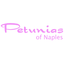 Petunias of Naples